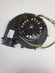RHEEM/RUUD INDUCER MOTOR 1/20HP 115V 3450RPM .75A 60HZ 1 STAGE FASCO 70626562 TYPE U62B1