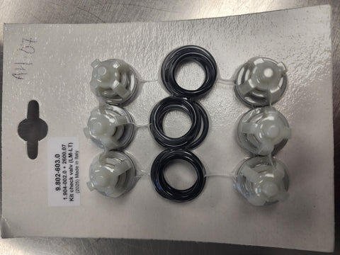 HOTSY PUMP CHECK VALVE KIT